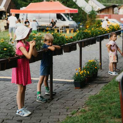 Fotografia z ročníka 2024 festivalu Pohorelá – Dedina ako klenotnica